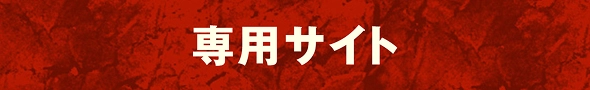 専用サイト